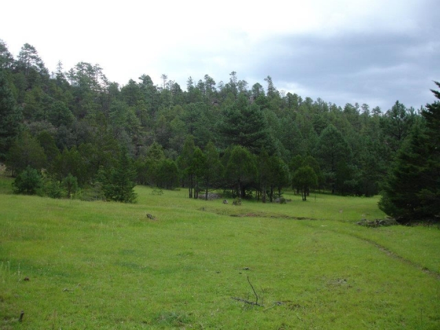 Senderos Naturales